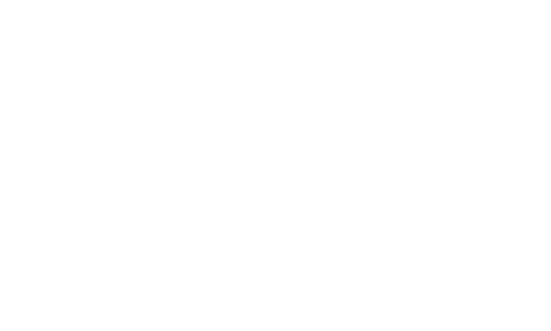VORA